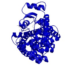 Image of CATH 5xsz