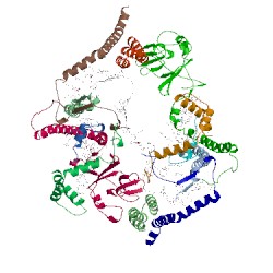 Image of CATH 5xte