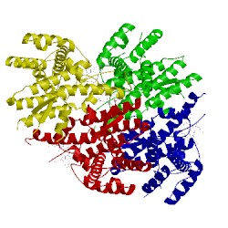 Image of CATH 5xtr