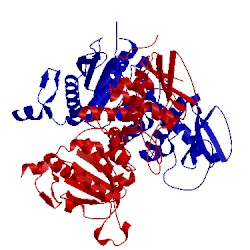 Image of CATH 5xw4