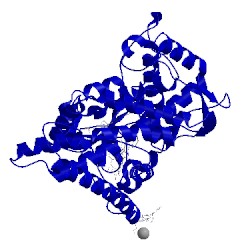Image of CATH 5xxi
