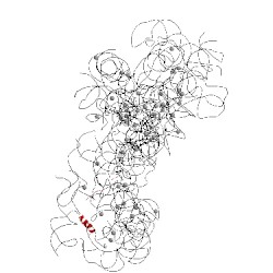 Image of CATH 5xyu