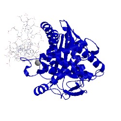 Image of CATH 5xzb