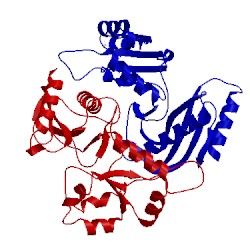 Image of CATH 5ydu