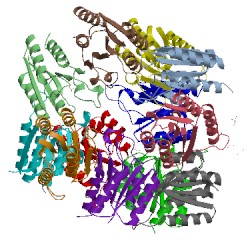 Image of CATH 5yl5