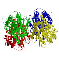 Image of CATH 6ald