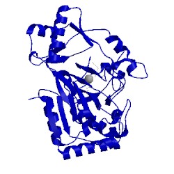 Image of CATH 6alp