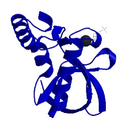 Image of CATH 6amf