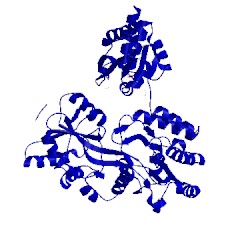 Image of CATH 6apx