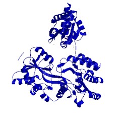 Image of CATH 6apx