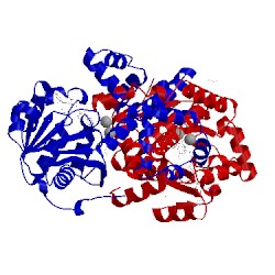 Image of CATH 6aqj