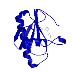 Image of CATH 6b42