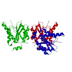 Image of CATH 6b8v