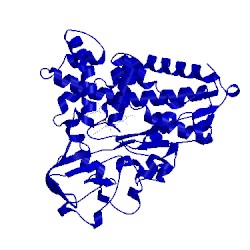 Image of CATH 6cpp