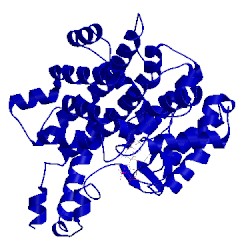 Image of CATH 6cts