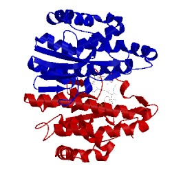 Image of CATH 6gsu