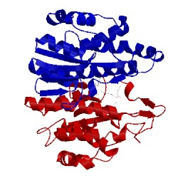 Image of CATH 6gsy