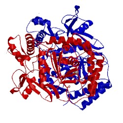 Image of CATH 6nse