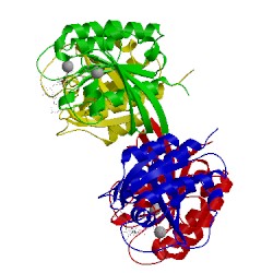 Image of CATH 6q21