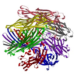 Image of CATH 7ahl