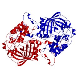 Image of CATH 7cat