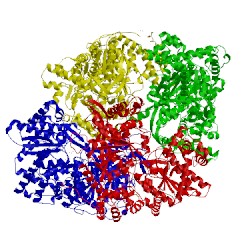Image of CATH 7gpb