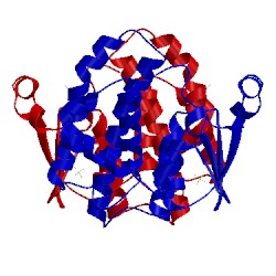 Image of CATH 7gss