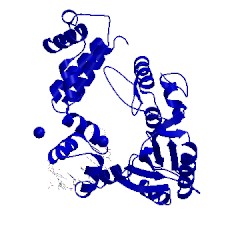 Image of CATH 7icg