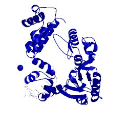 Image of CATH 7ici