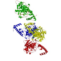 Image of CATH 7pck