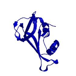 Image of CATH 7rat