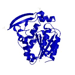 Image of CATH 7yas