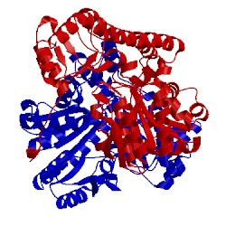 Image of CATH 8aat