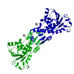 Image of CATH 8atc