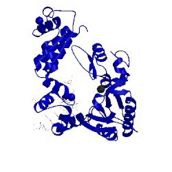 Image of CATH 8ica