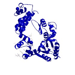 Image of CATH 8ich