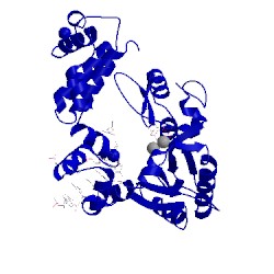 Image of CATH 8ict