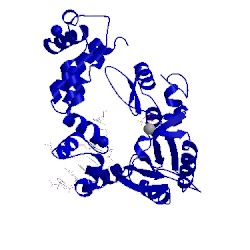 Image of CATH 8icv