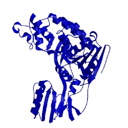 Image of CATH 8ohm