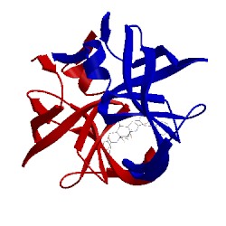 Image of CATH 9hvp
