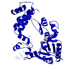 Image of CATH 9ica