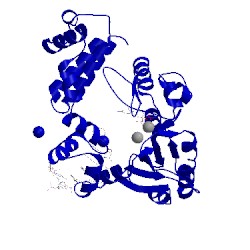 Image of CATH 9ics