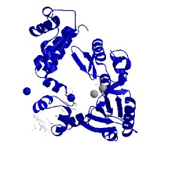 Image of CATH 9ict