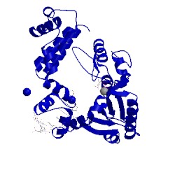 Image of CATH 9icu