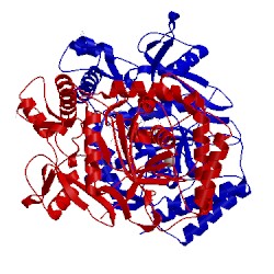 Image of CATH 9nse