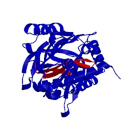 Image of CATH 9pai
